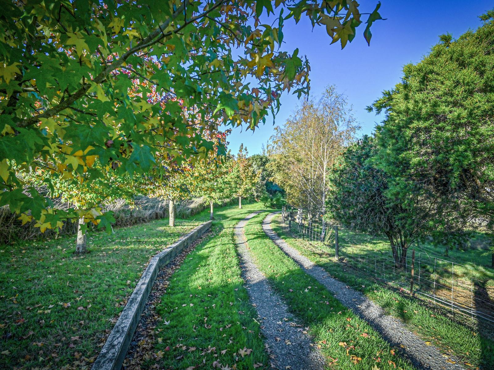 1567 Puketitiri Road, Puketapu