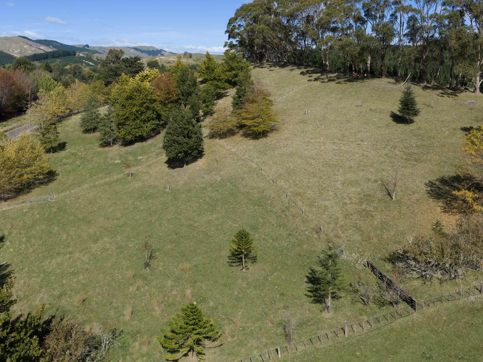 1544 Kahuranaki Road, Kahuranaki