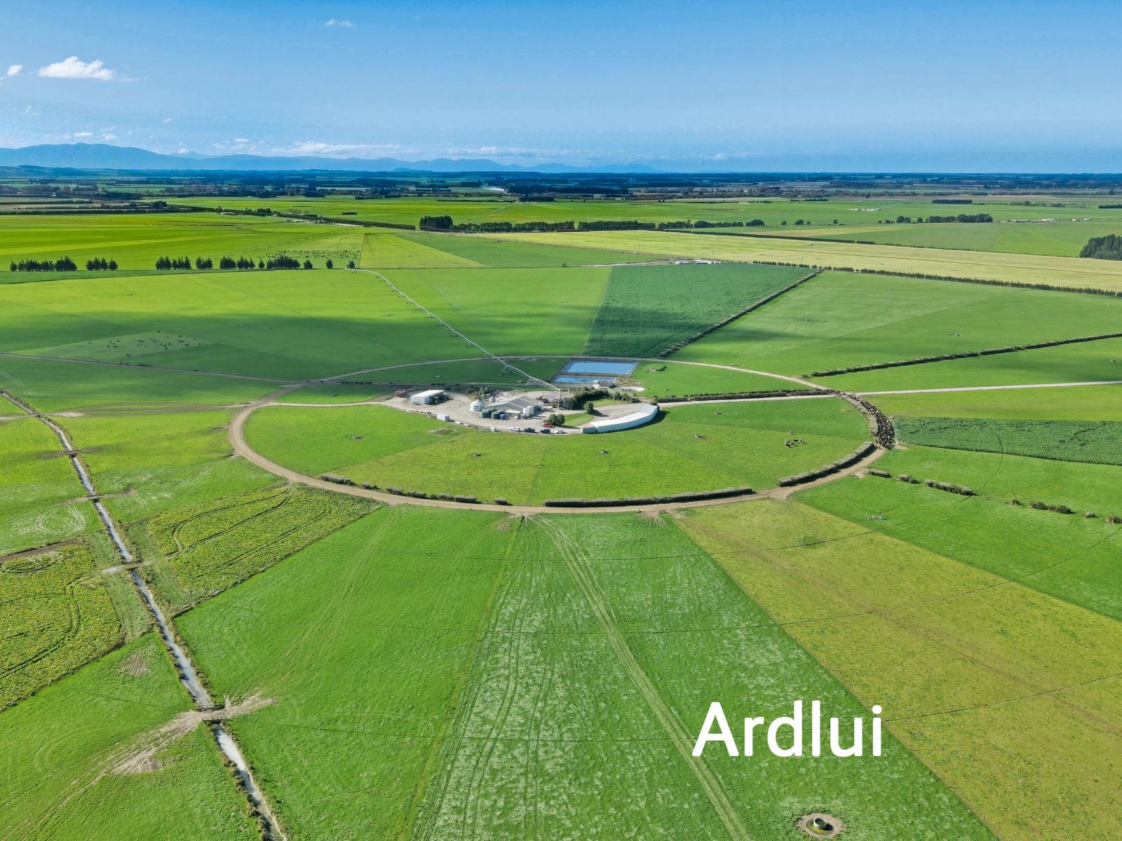 Aurora Dairies, Te Pirita