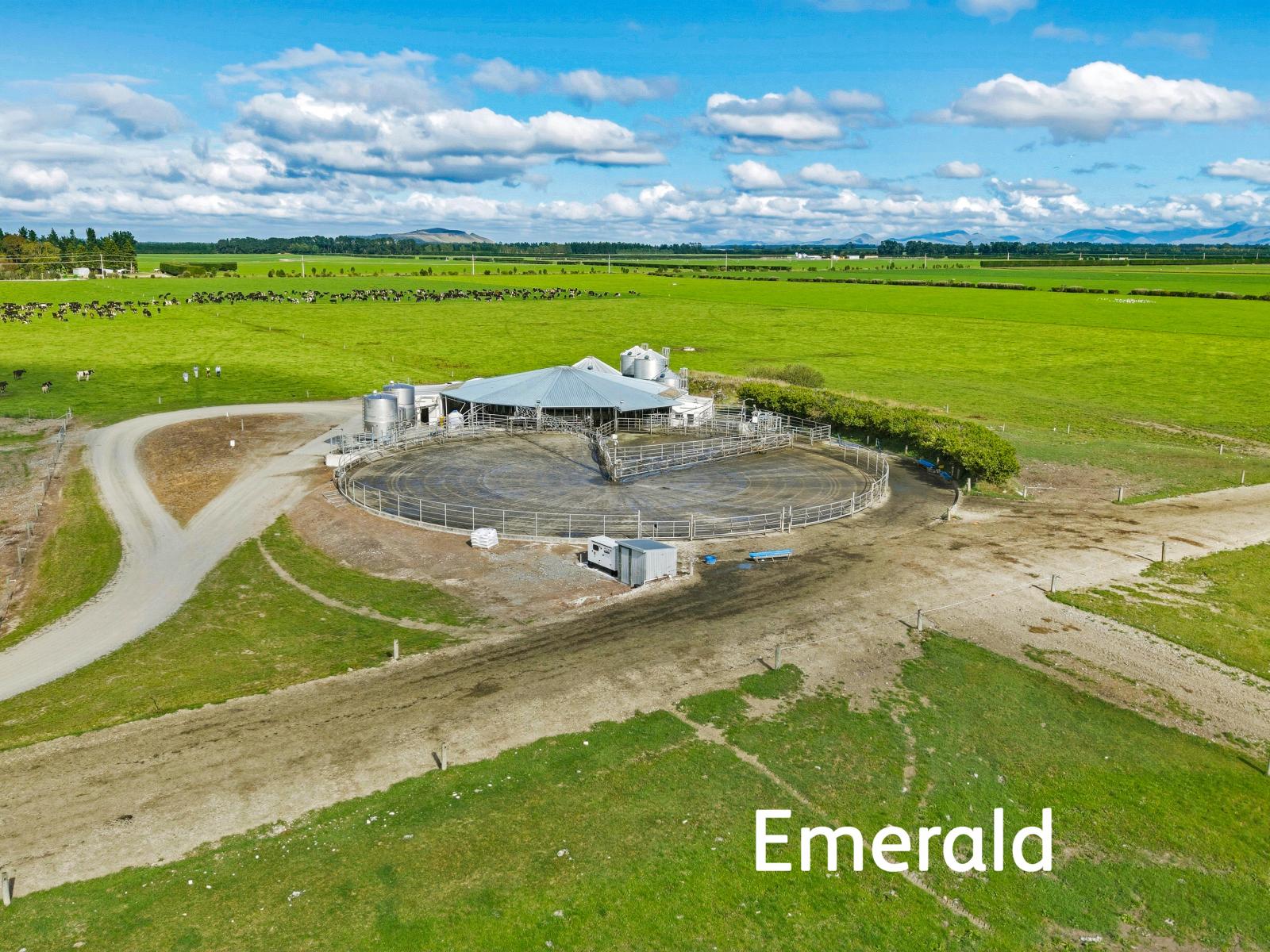 Aurora Dairies, Te Pirita