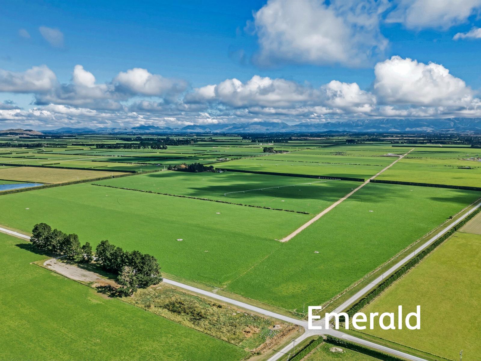 Aurora Dairies, Te Pirita
