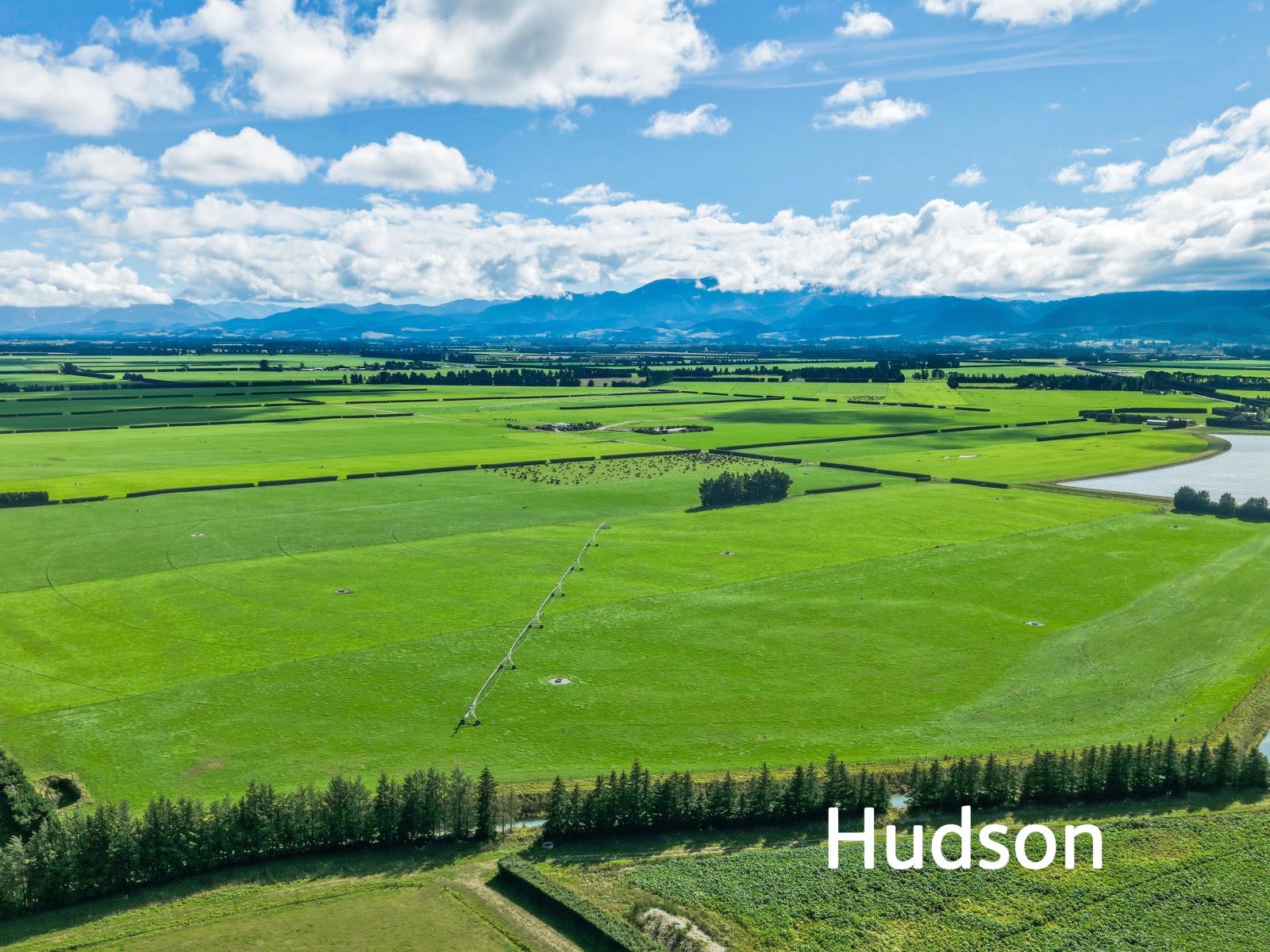 Aurora Dairies, Te Pirita