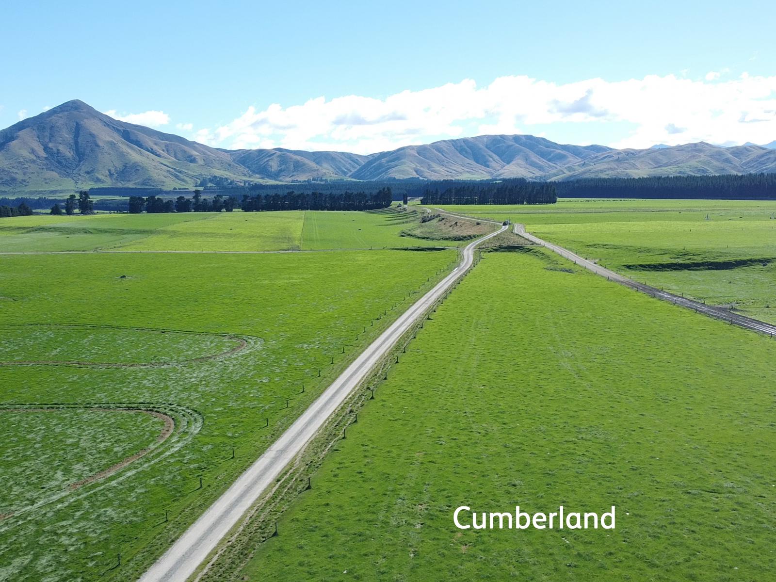 Aurora Dairies, Te Pirita