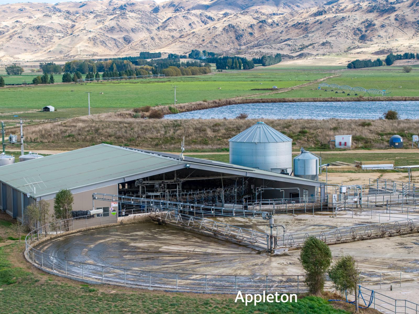 Aurora Dairies, Te Pirita