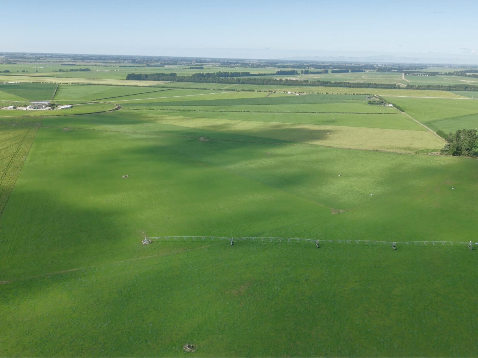 803 Ardlui Road, Te Pirita