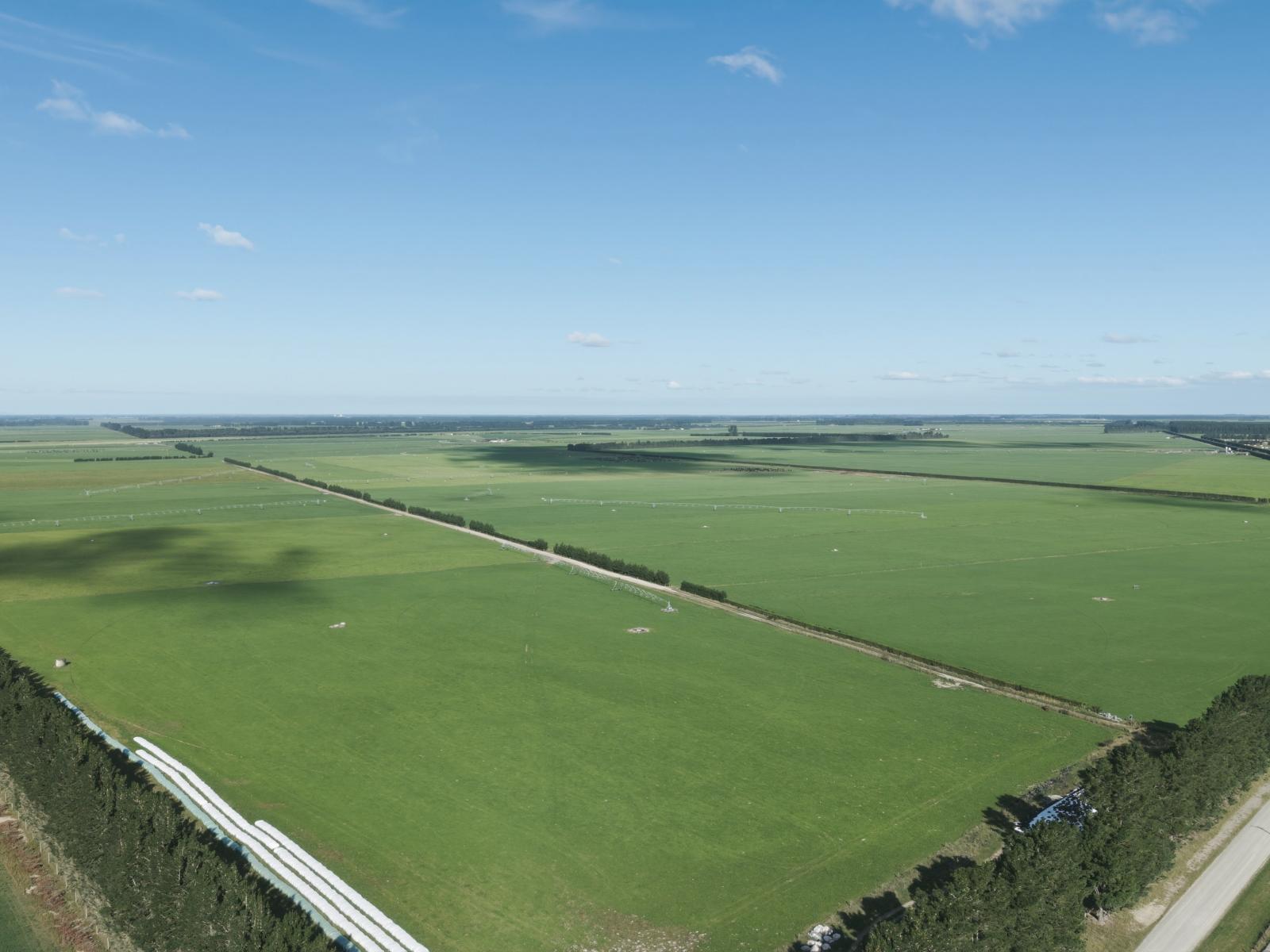 803 Ardlui Road, Te Pirita