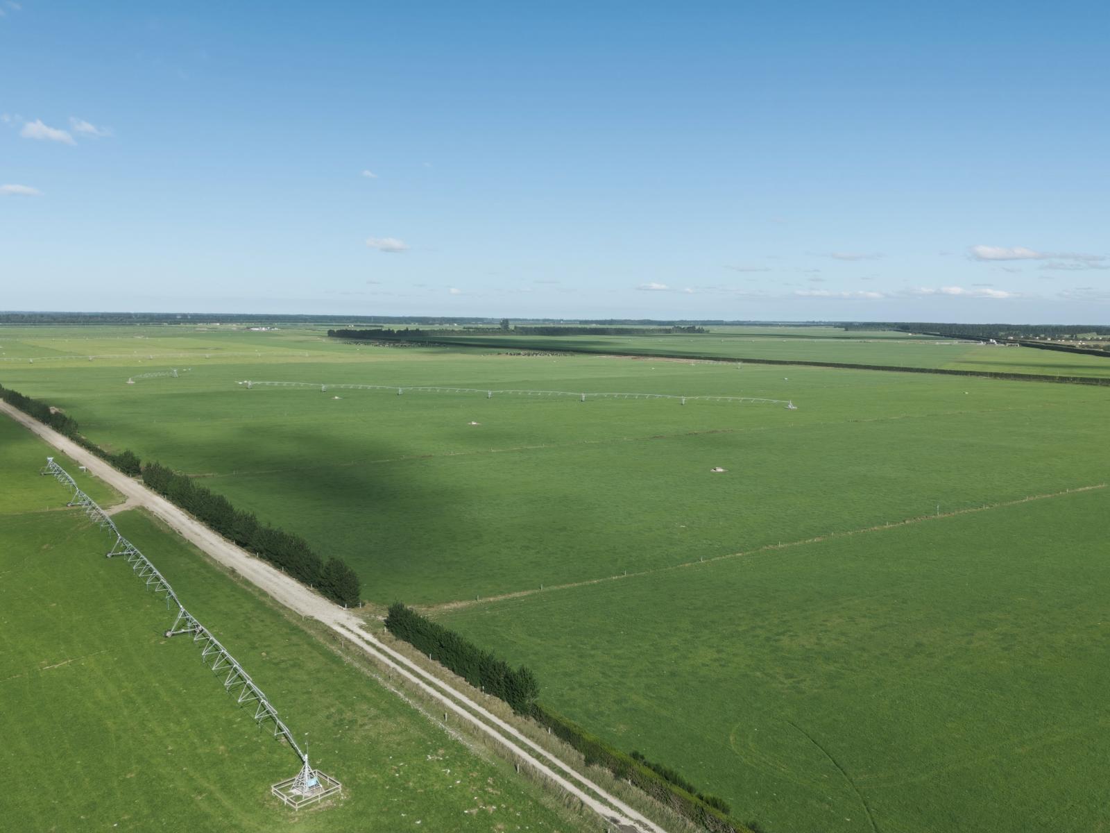 803 Ardlui Road, Te Pirita