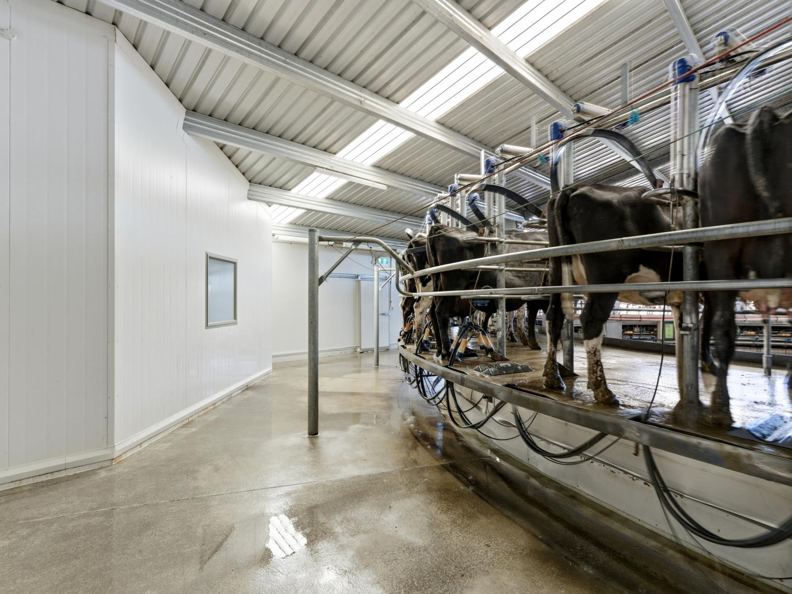 803 Ardlui Road, Te Pirita