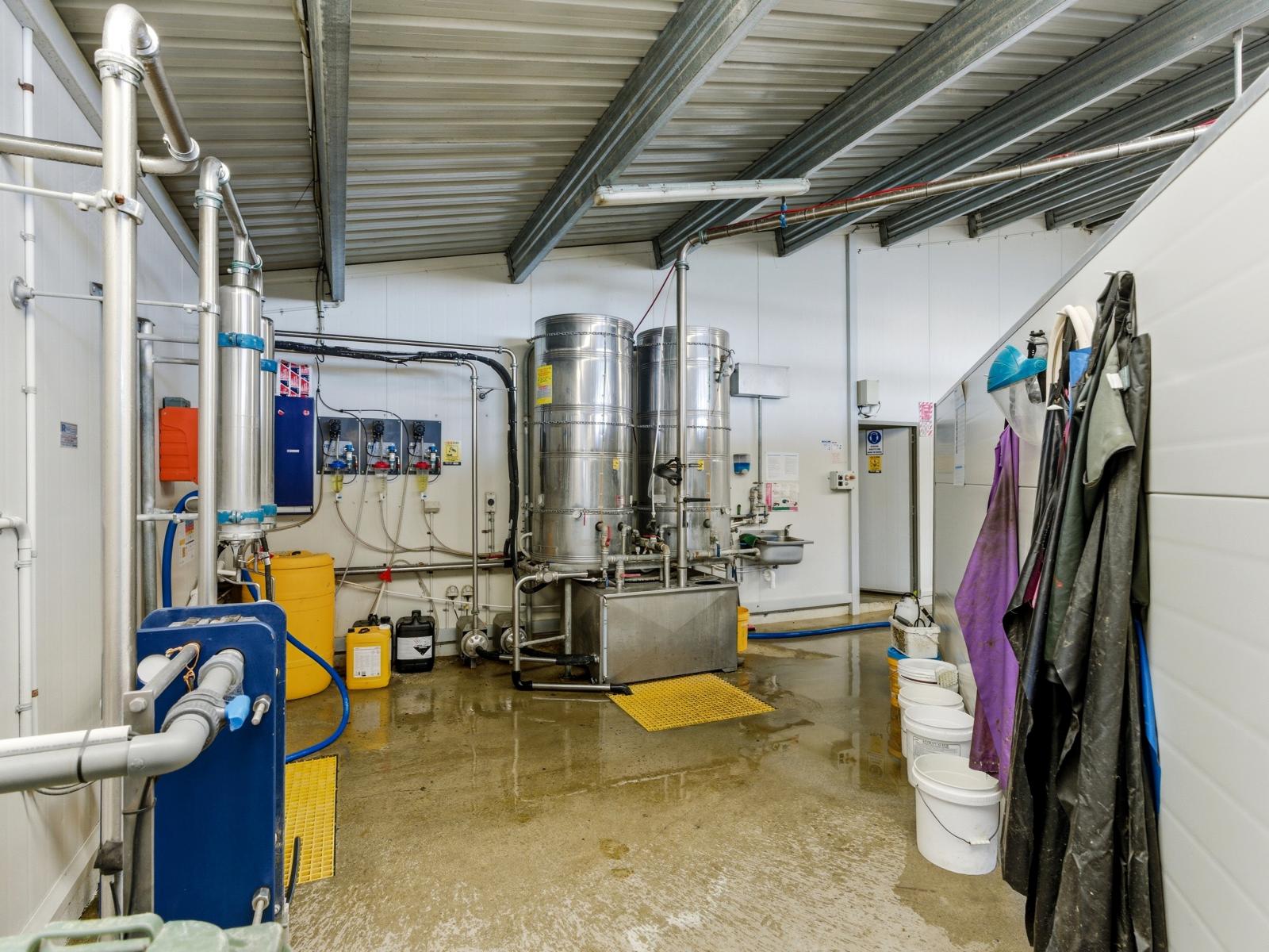 803 Ardlui Road, Te Pirita