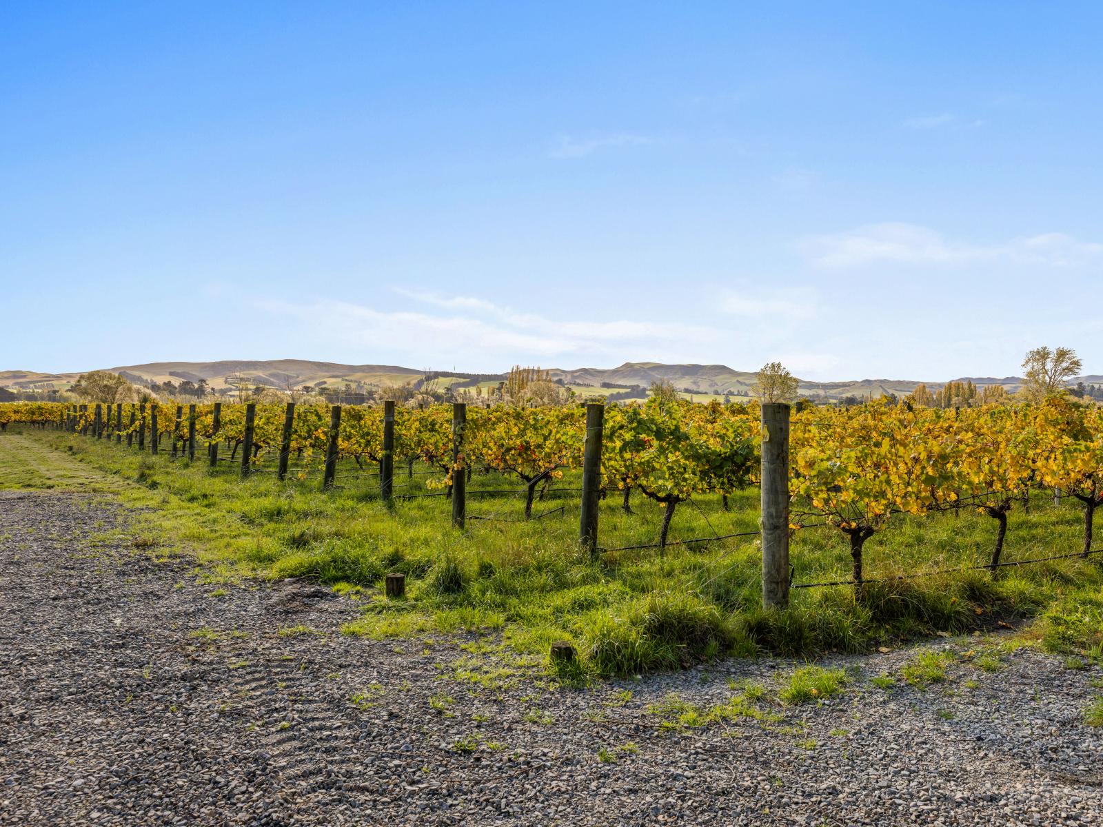 157 Church Road, Waipara