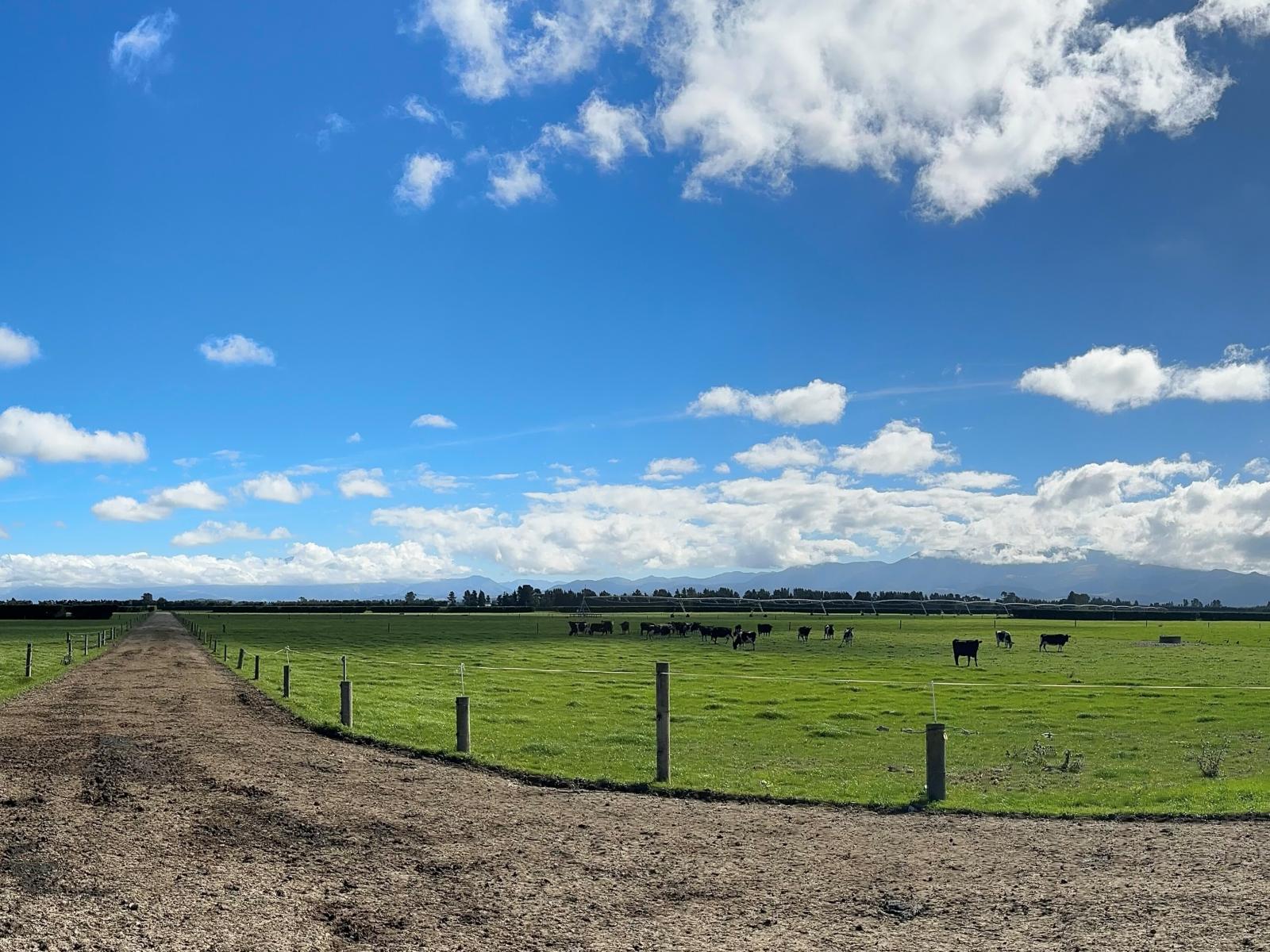 263 Domain Road, Oxford