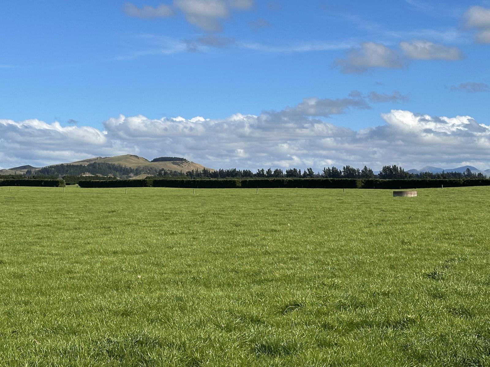 263 Domain Road, Oxford