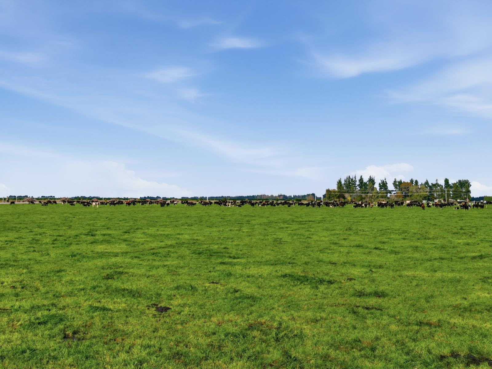 357 Woodstock Road, Oxford