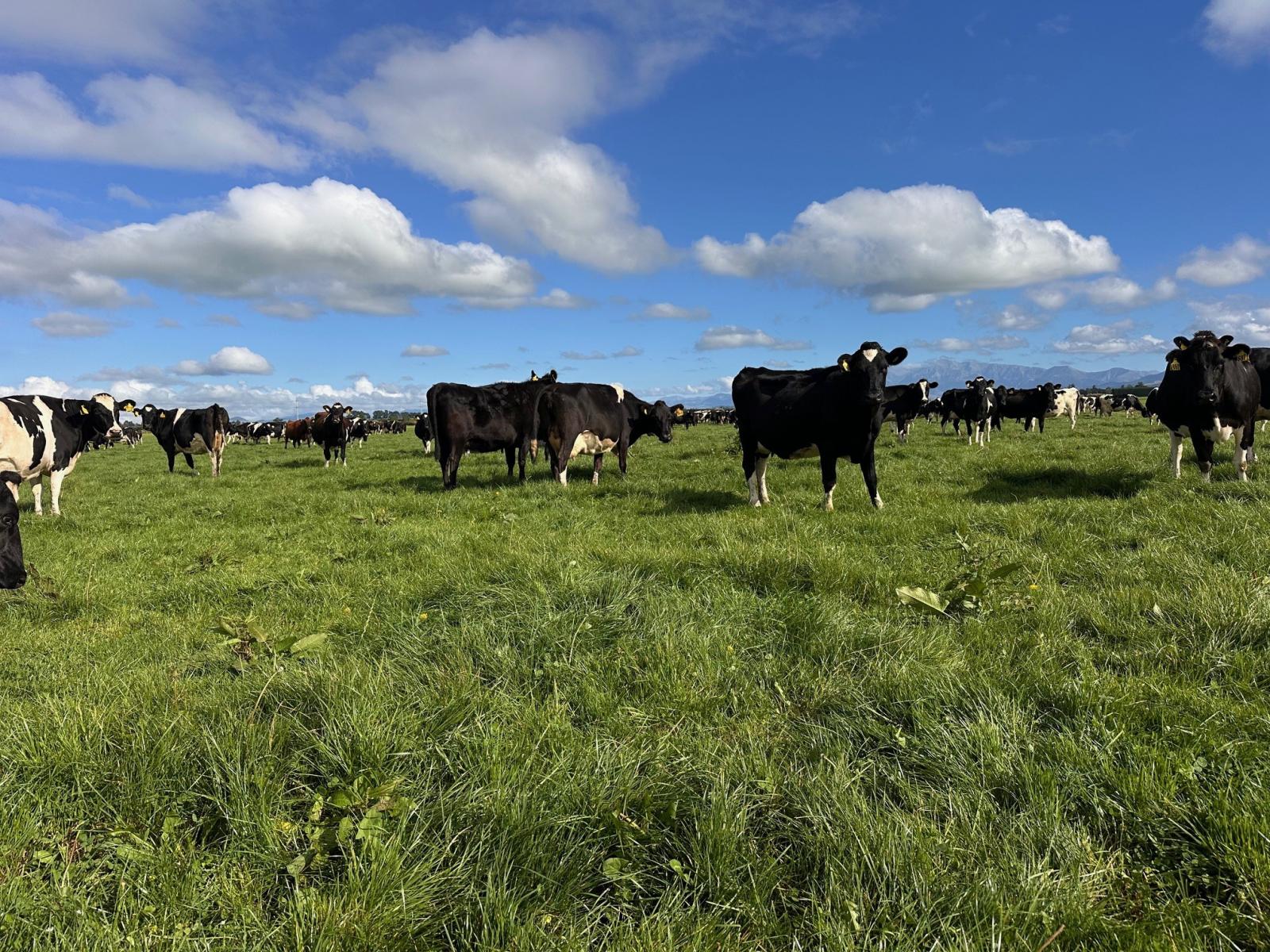 357 Woodstock Road, Oxford