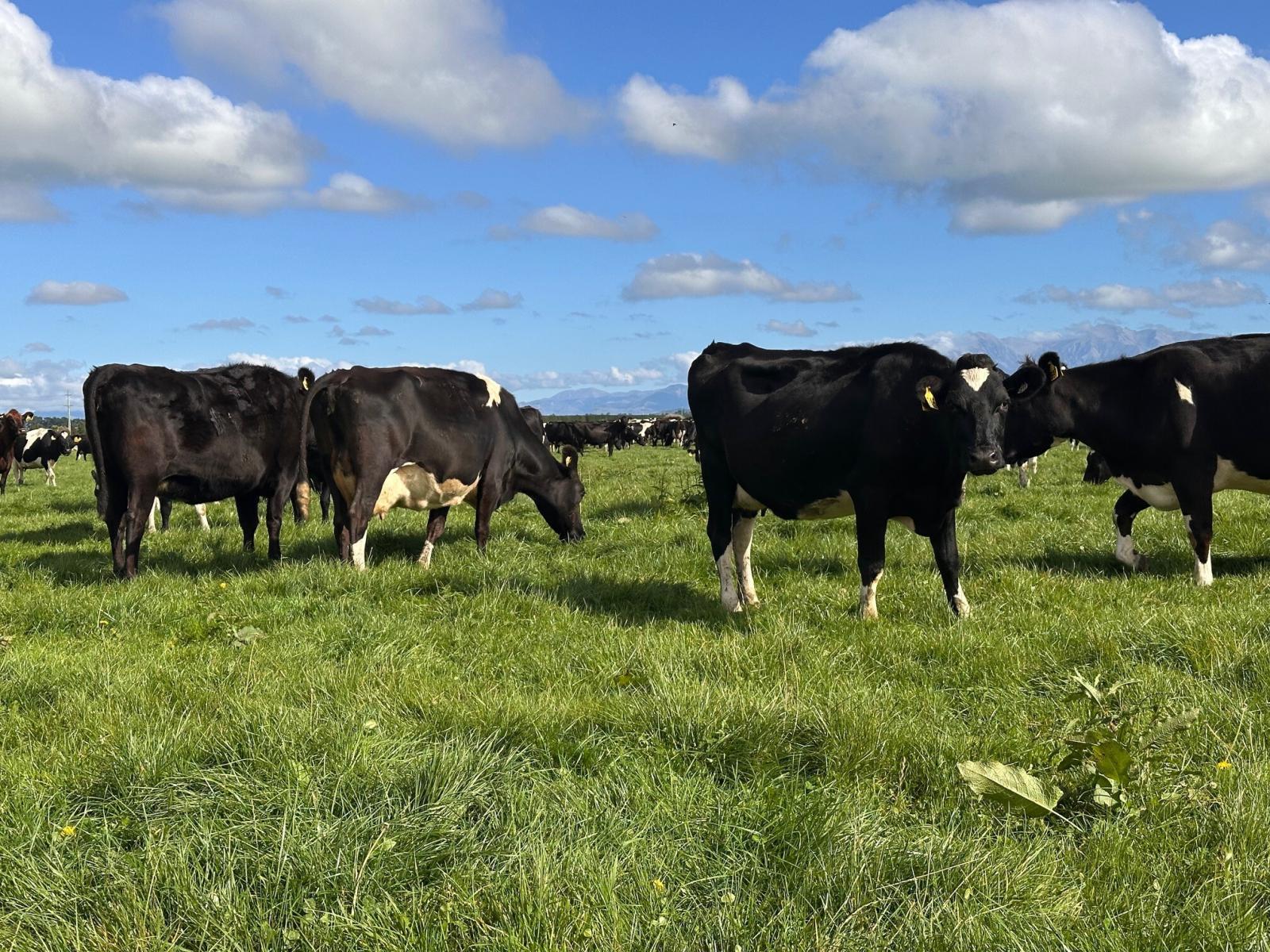 357 Woodstock Road, Oxford