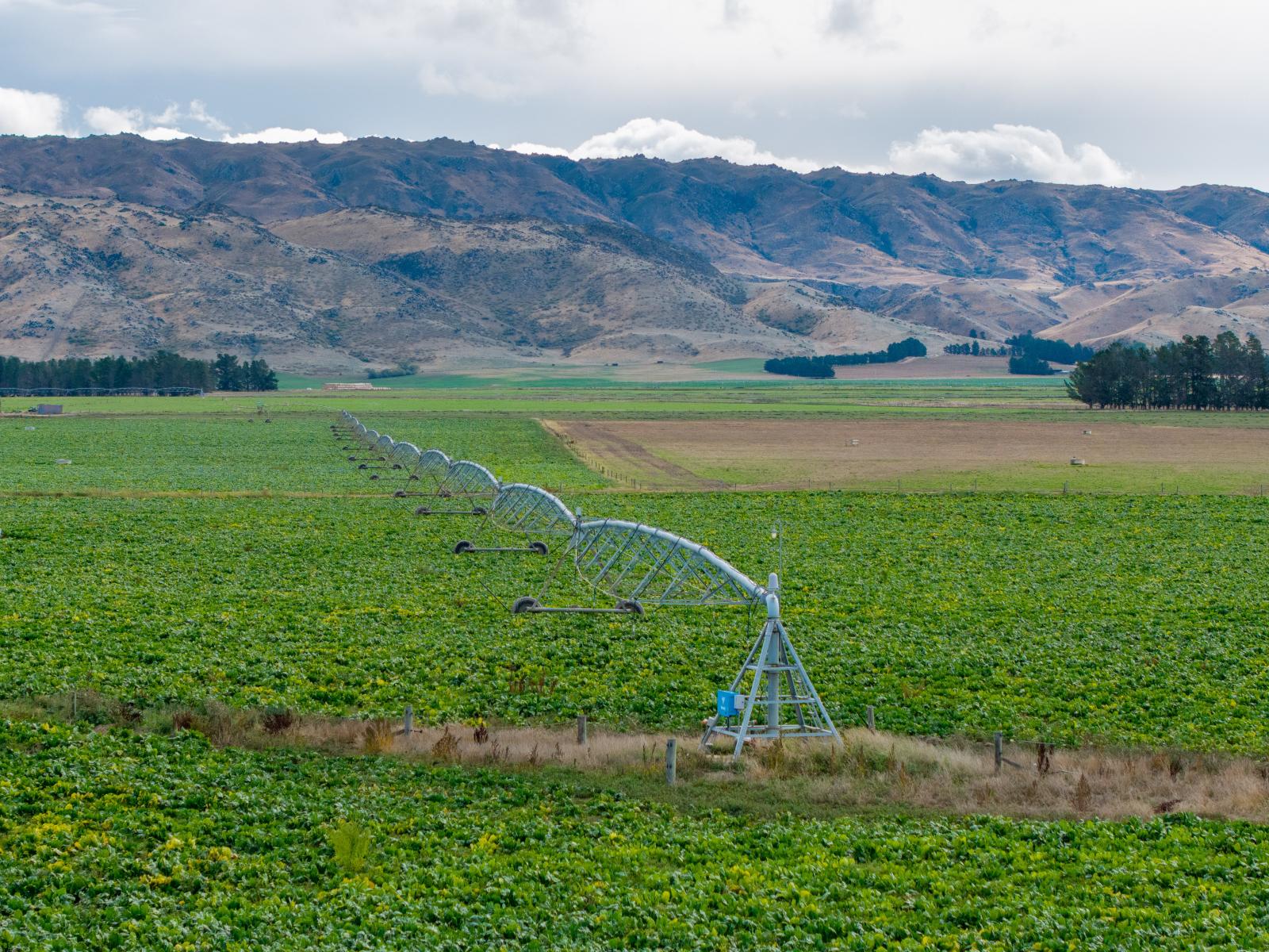 263 Puketoi Runs Road, Puketoi