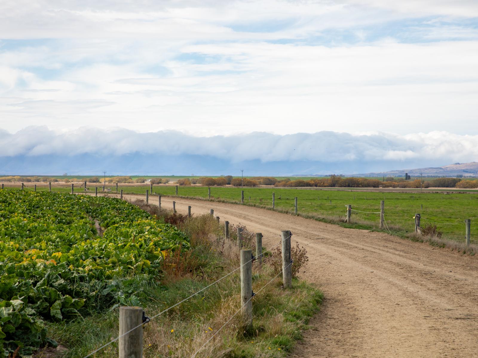 263 Puketoi Runs Road, Puketoi