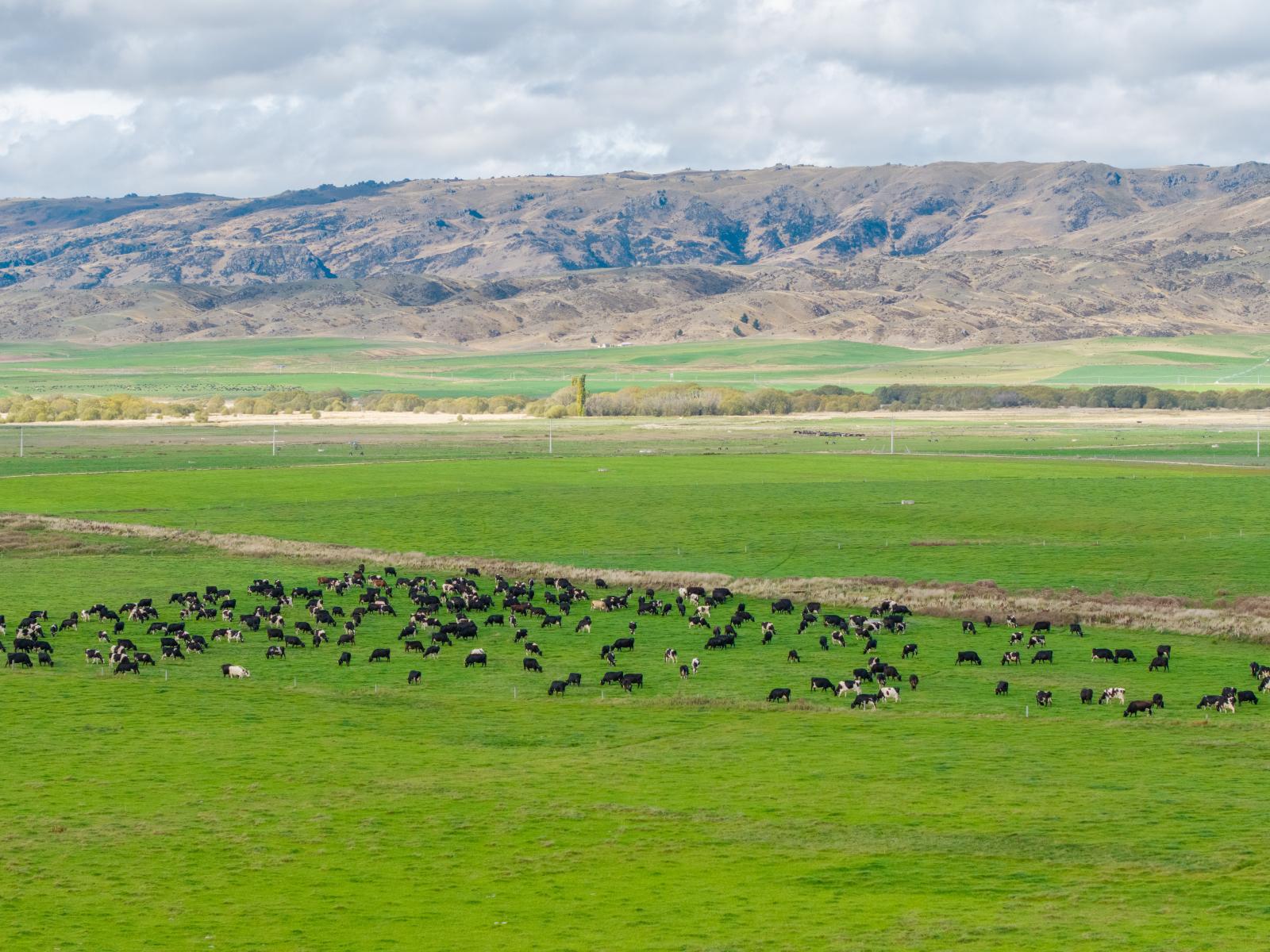 263 Puketoi Runs Road, Puketoi