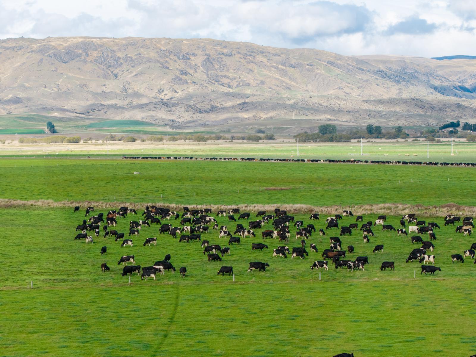 263 Puketoi Runs Road, Puketoi