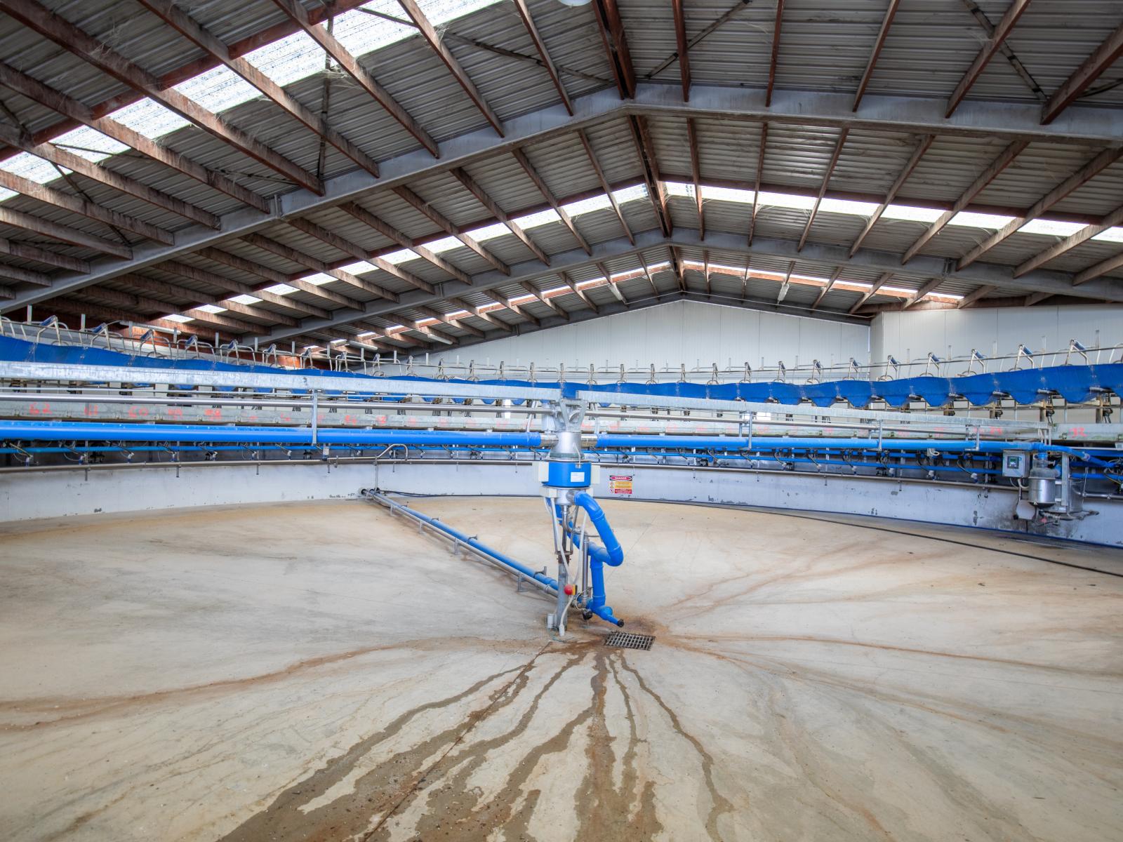 263 Puketoi Runs Road, Puketoi