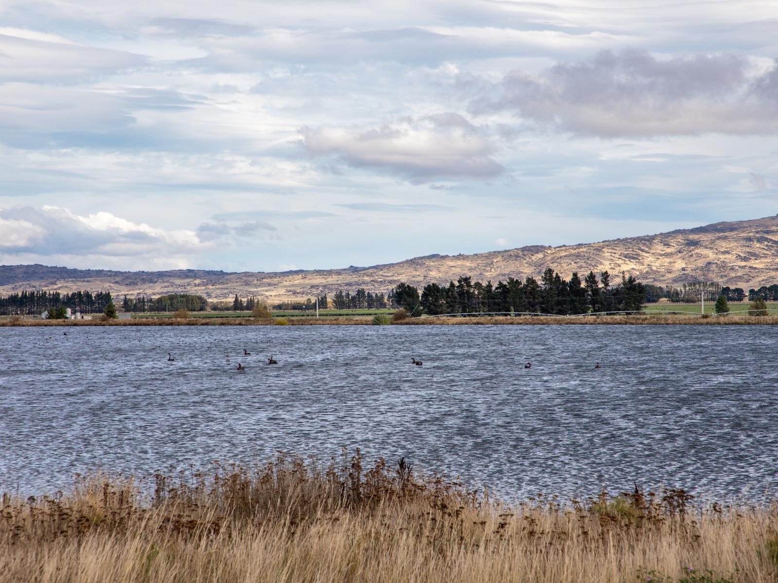 263 Puketoi Runs Road, Puketoi