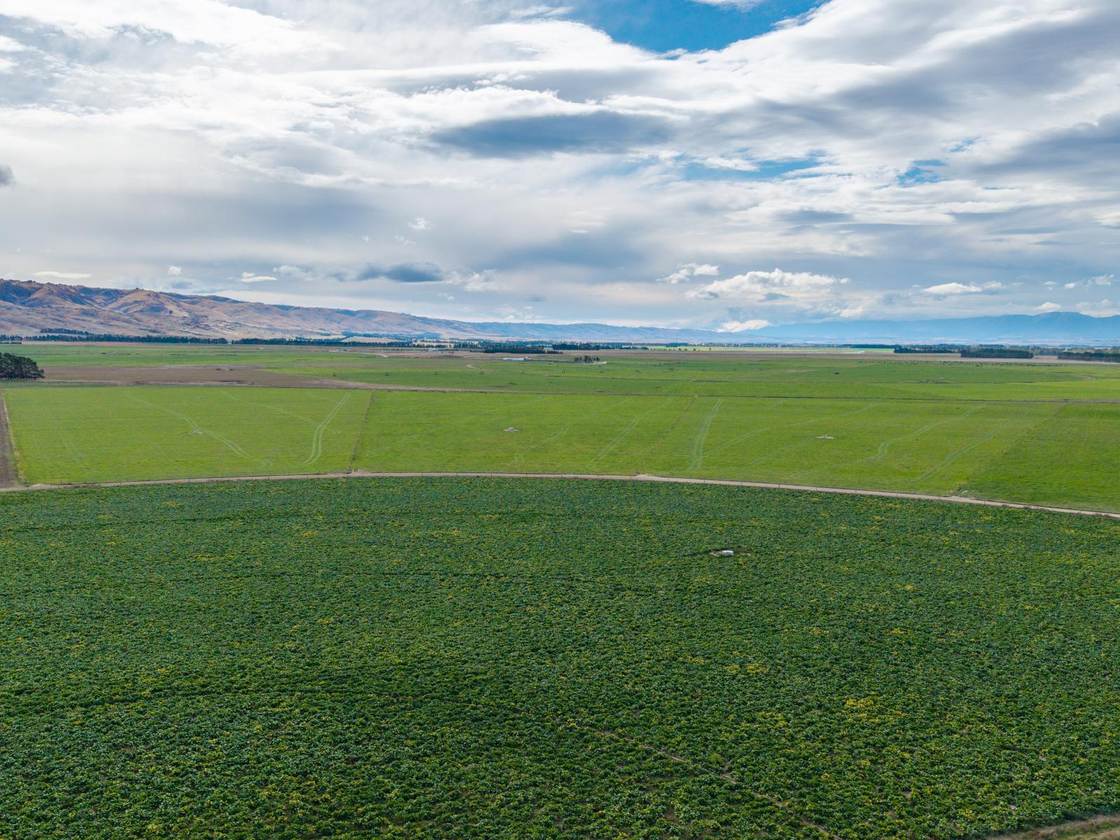 263 Puketoi Runs Road, Puketoi