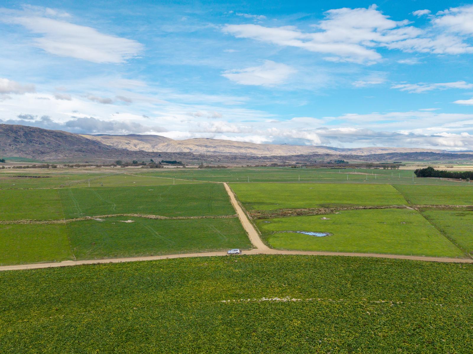 263 Puketoi Runs Road, Puketoi