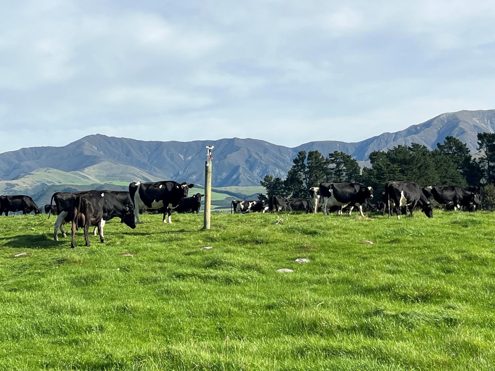 108 Klondyke Terrace, Mayfield