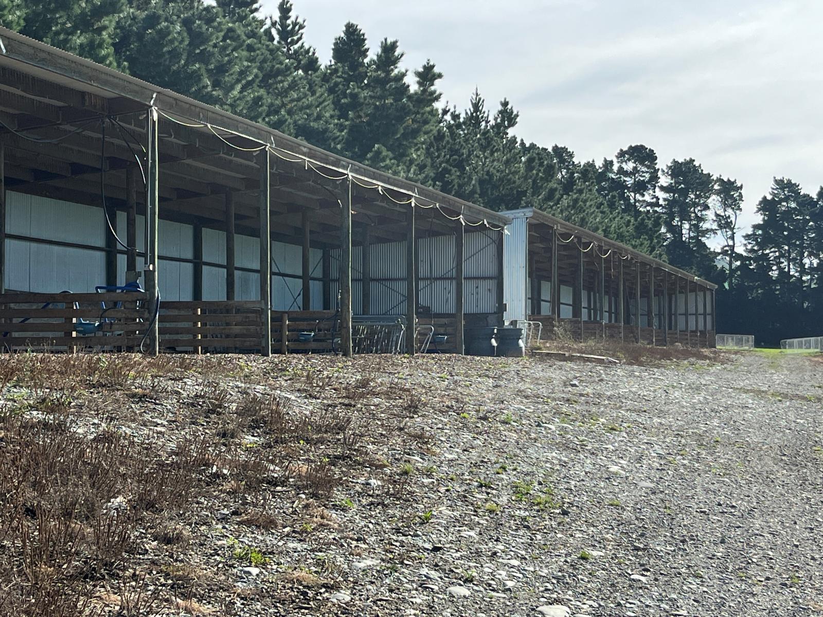 108 Klondyke Terrace, Mayfield