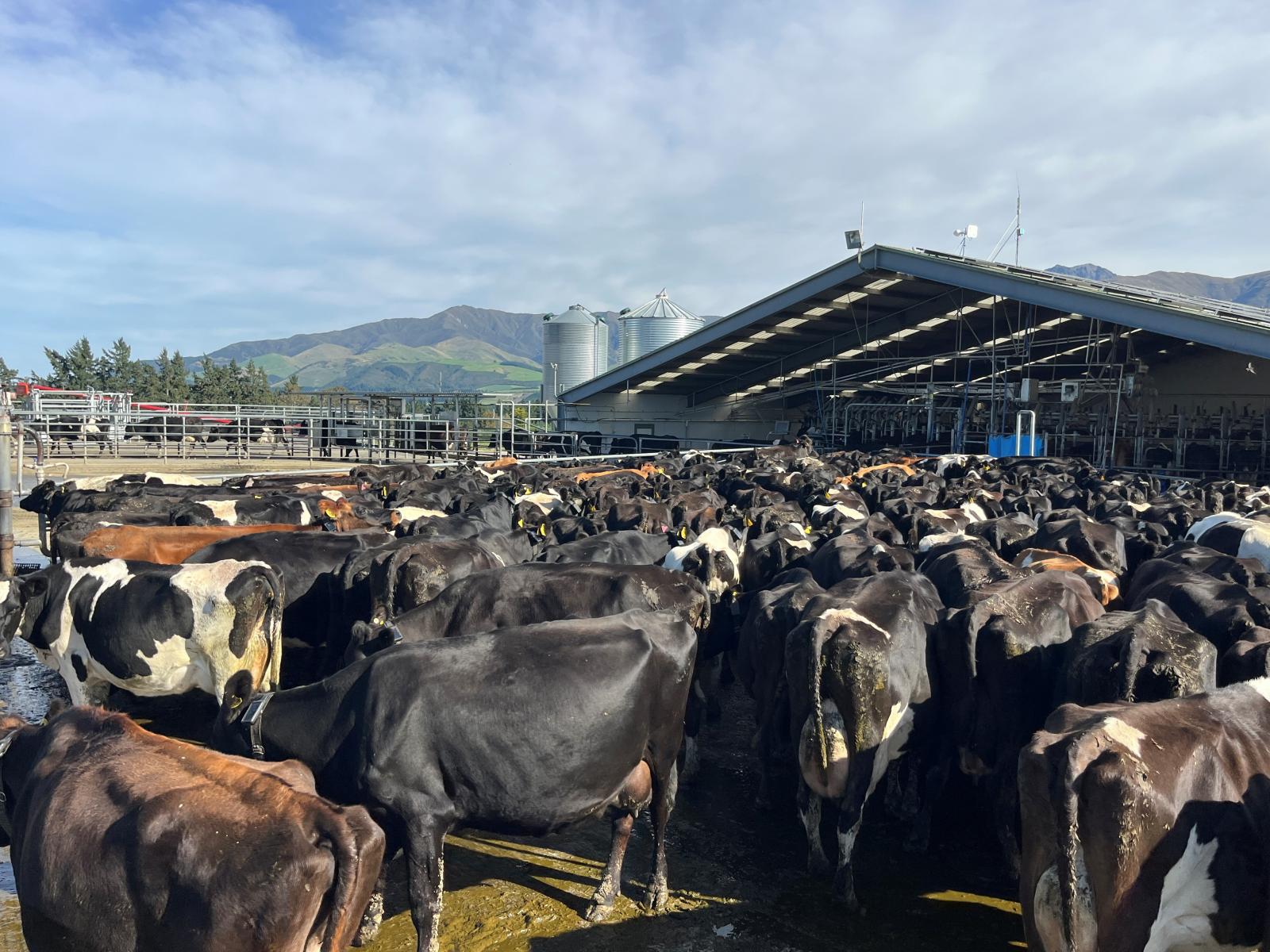 108 Klondyke Terrace, Mayfield