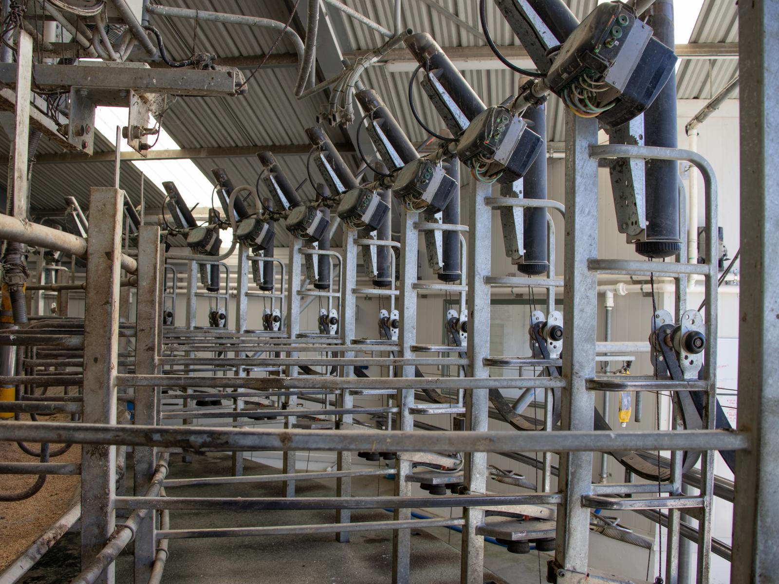 108 Klondyke Terrace, Mayfield