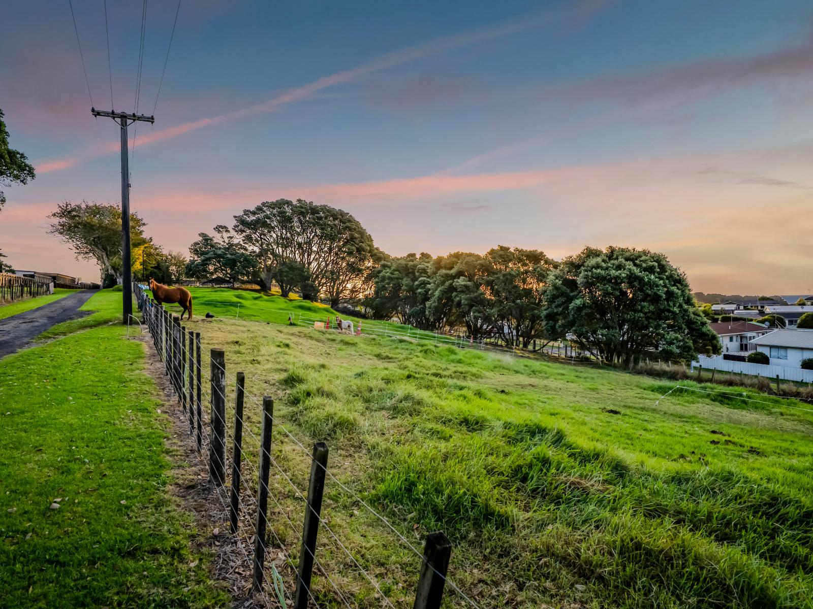 55 Nugent Street, Bell Block