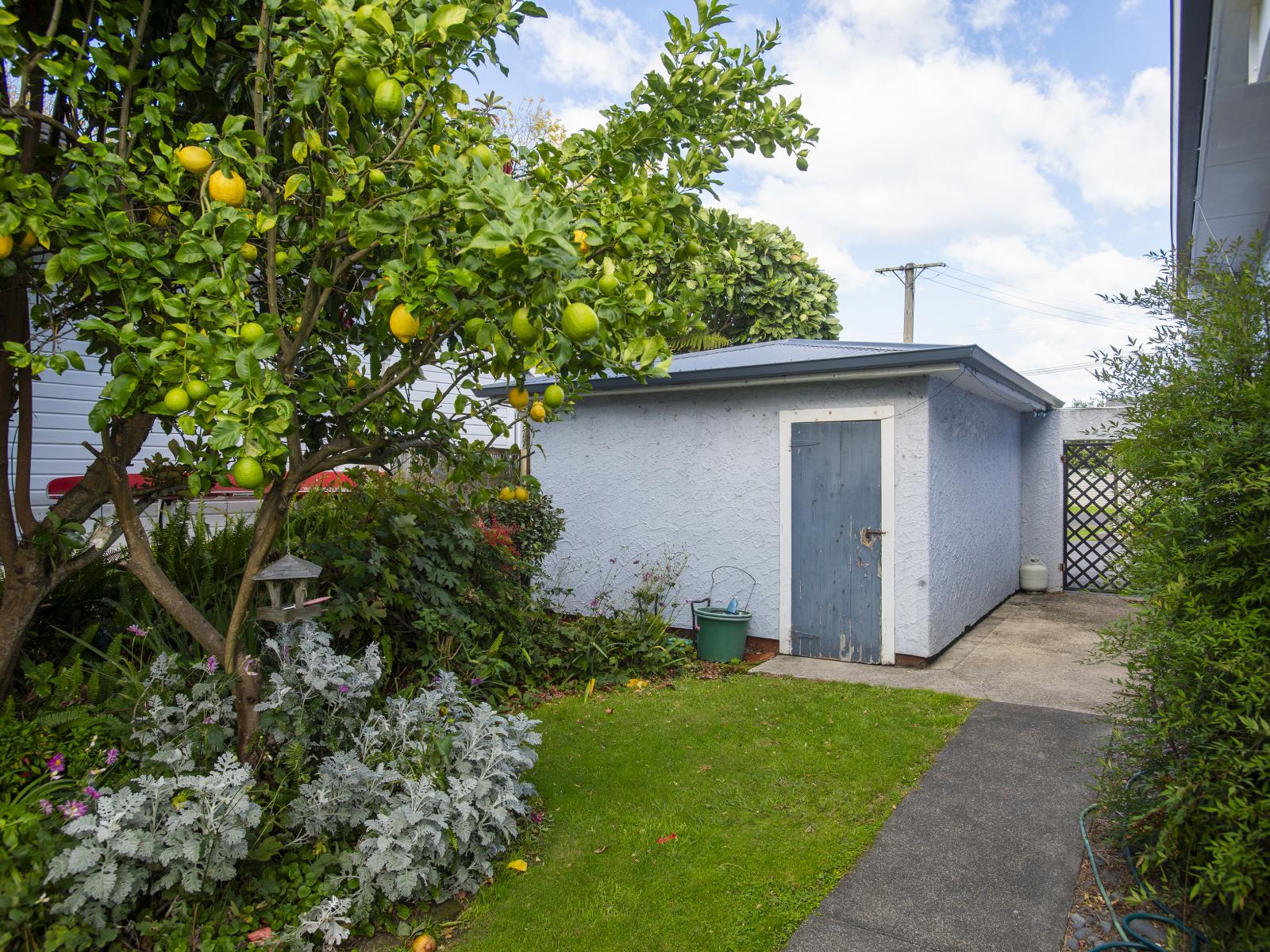 116 Sheehan Street, Whataupoko