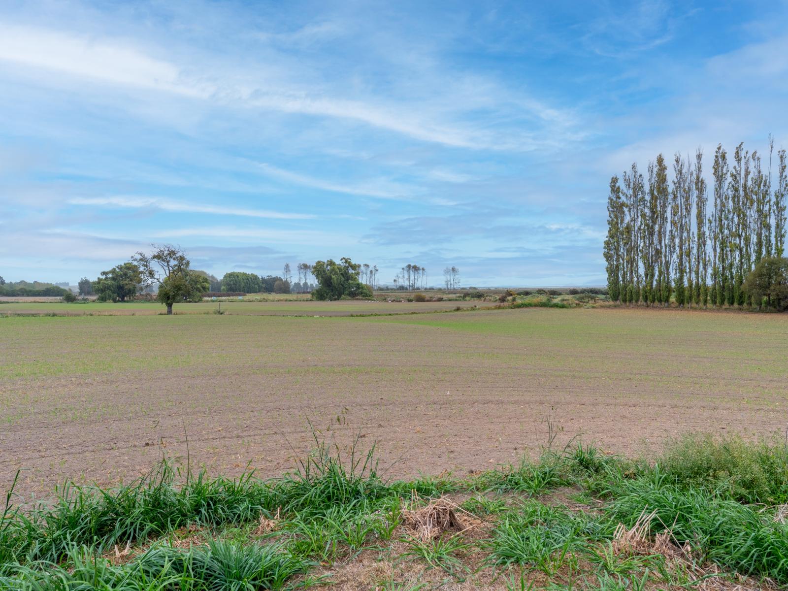 560 Hannaton Road, Waimate