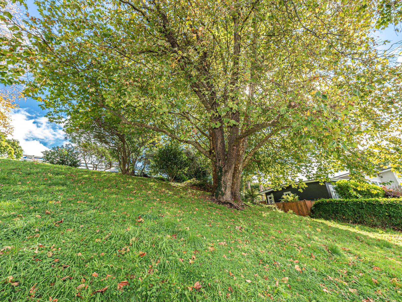 Lot 1 Hillside Terrace, St Johns Hill