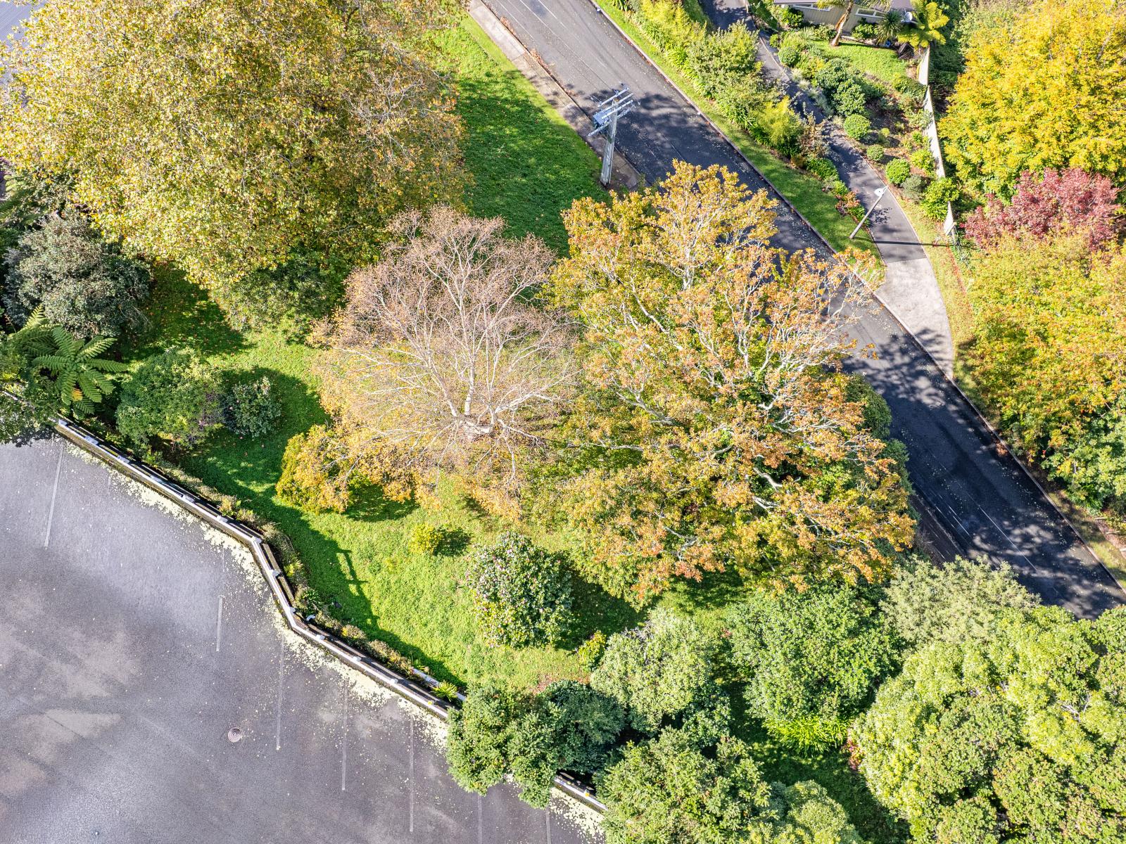 Lot 1 Hillside Terrace, St Johns Hill