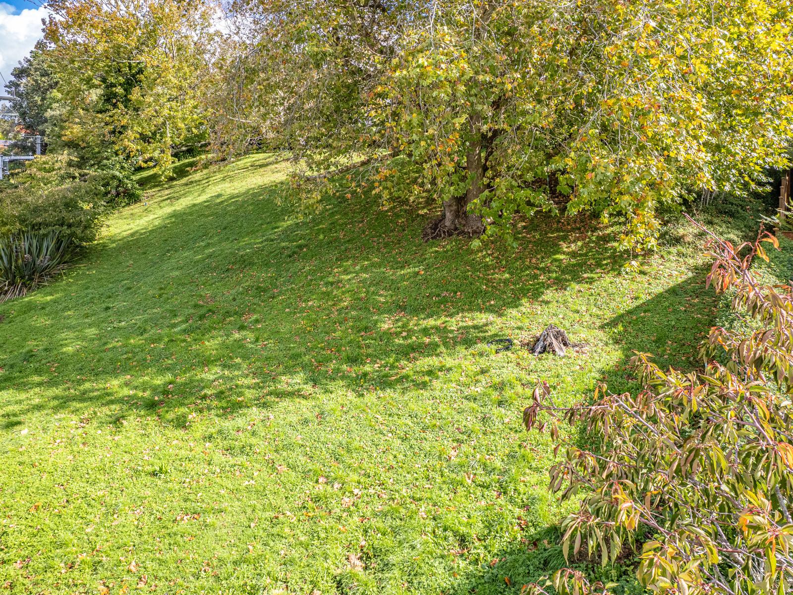 Lot 1 Hillside Terrace, St Johns Hill