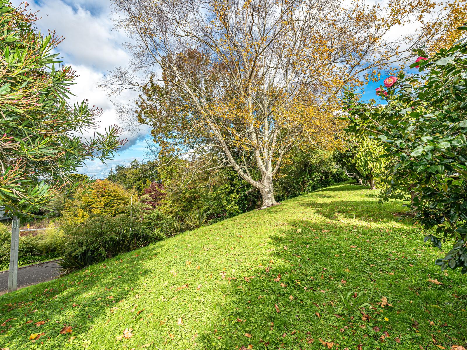 Lot 1 Hillside Terrace, St Johns Hill