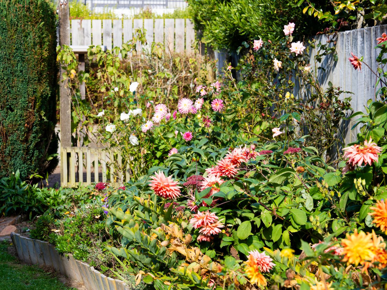 216 Larnach Road, Waverley