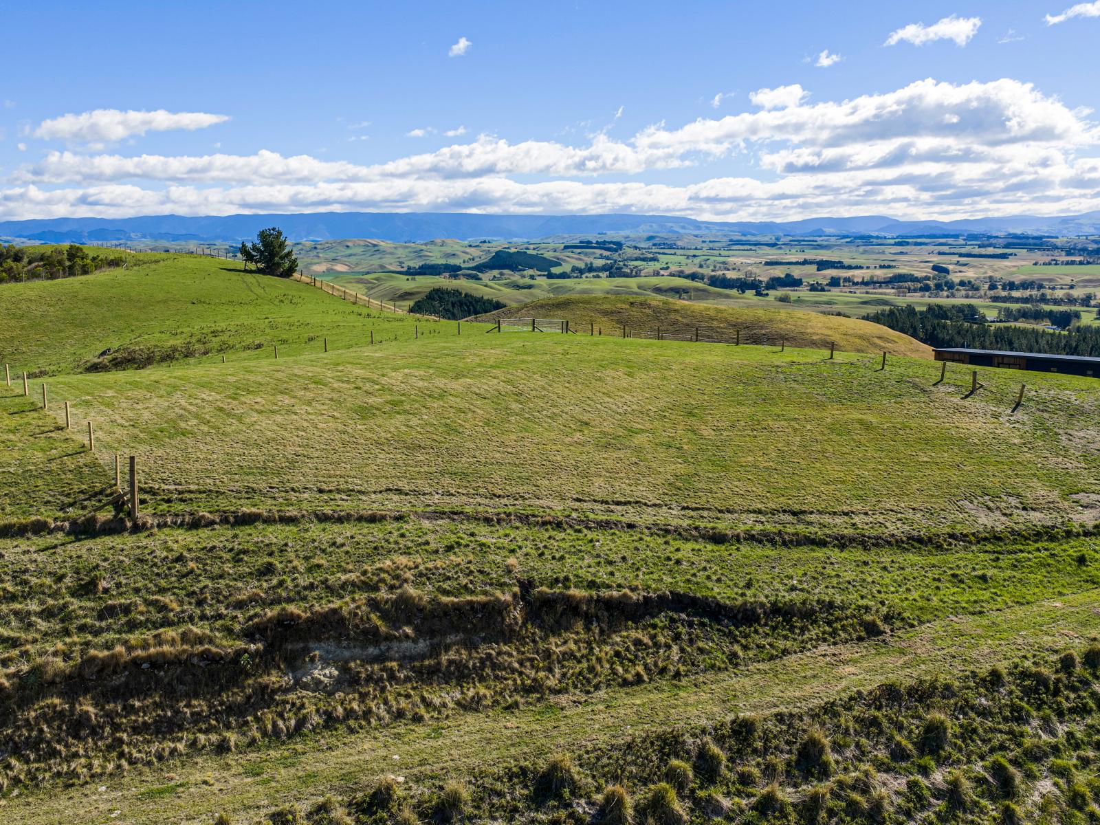 194 Whakapirau Road, Maraekakaho