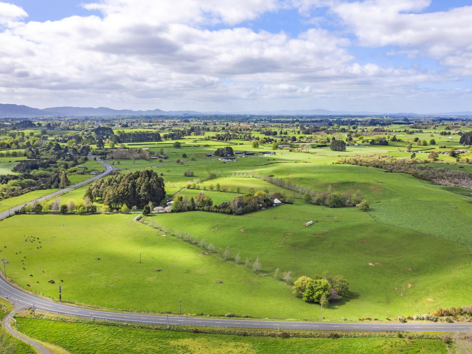 1041 Horotiu Road, Whatawhata