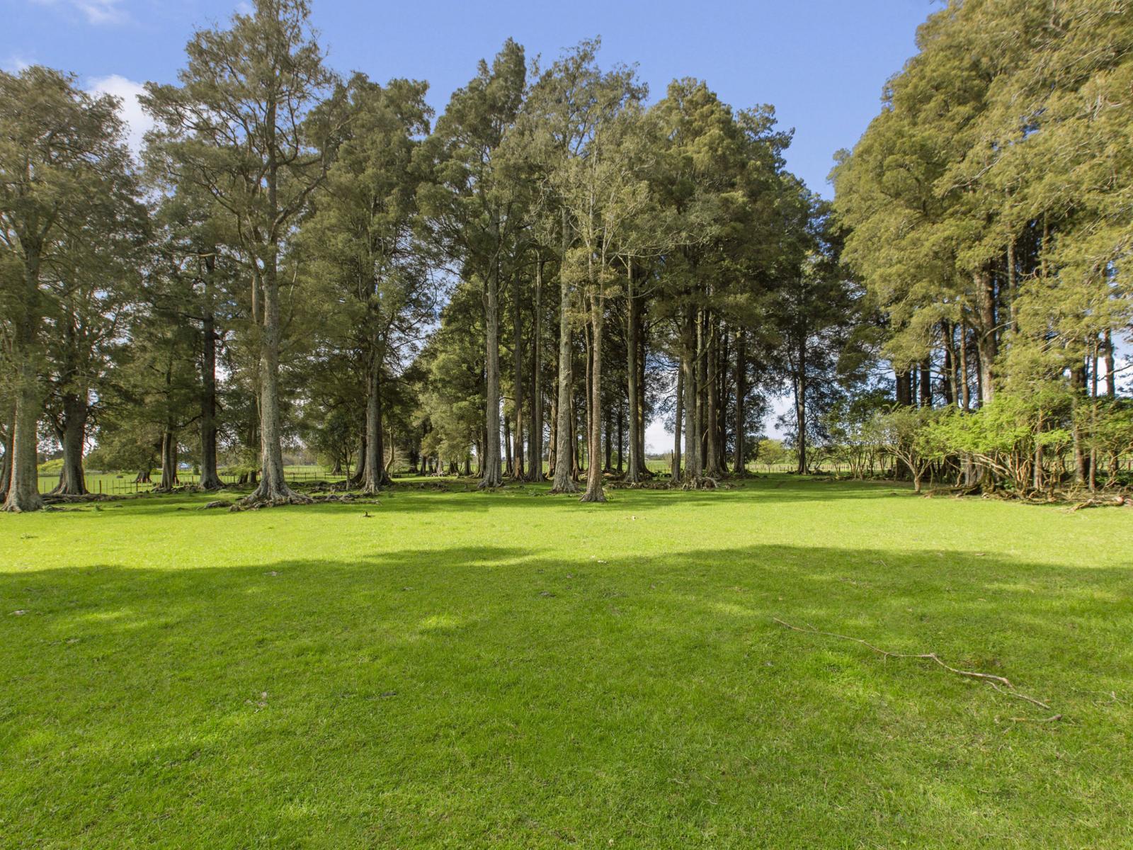 1041 Horotiu Road, Whatawhata