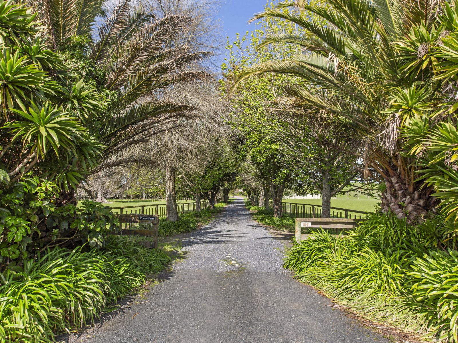 1041 Horotiu Road, Whatawhata