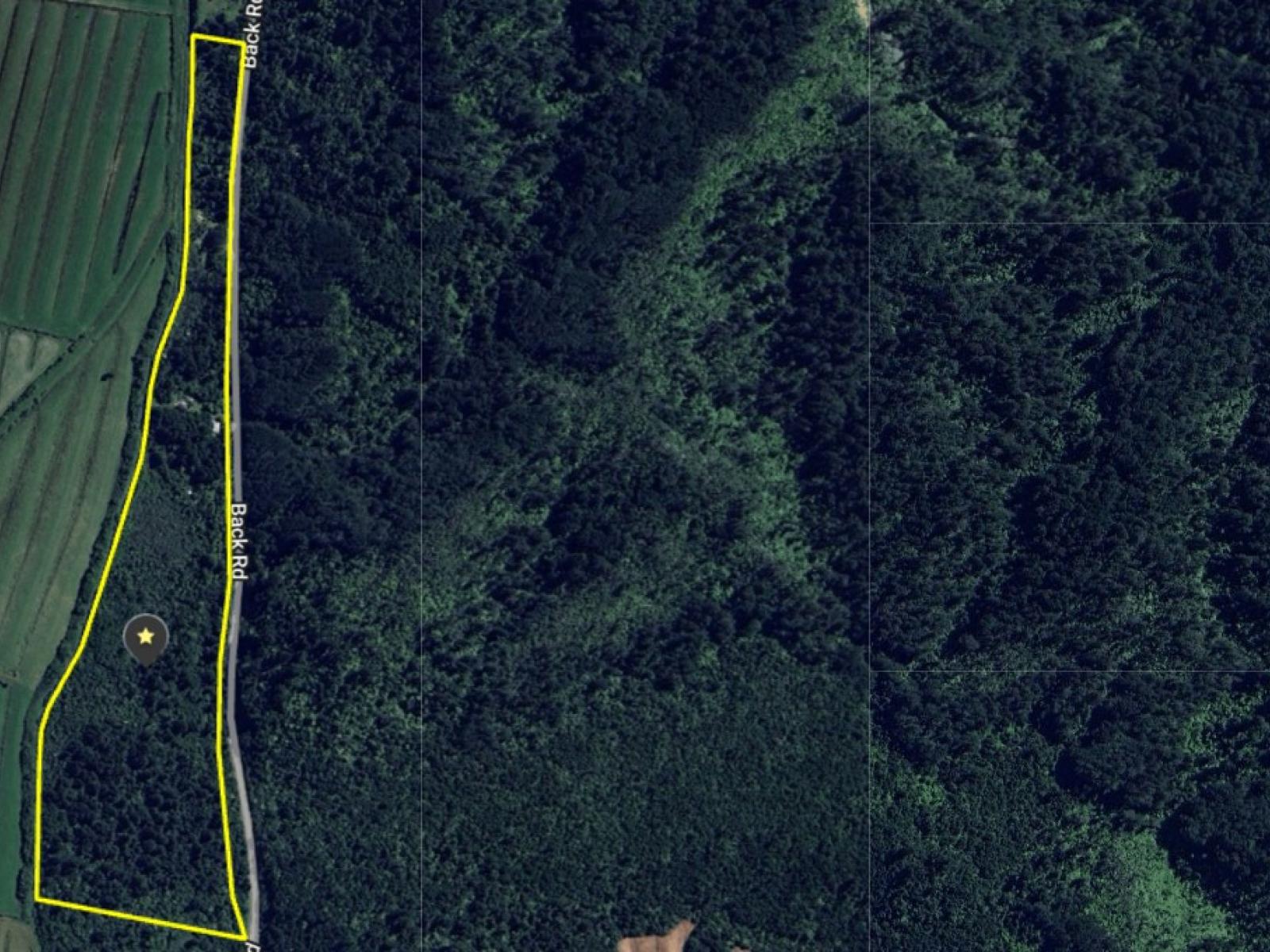 382 Kongahu Road, Little Wanganui