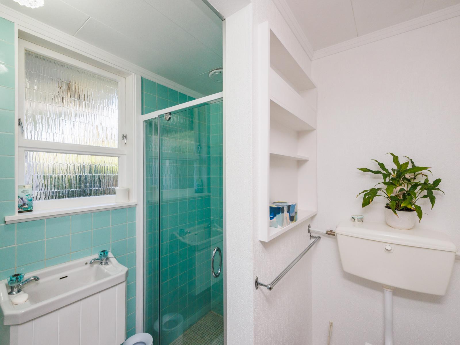 245 Victoria Avenue, Hokowhitu