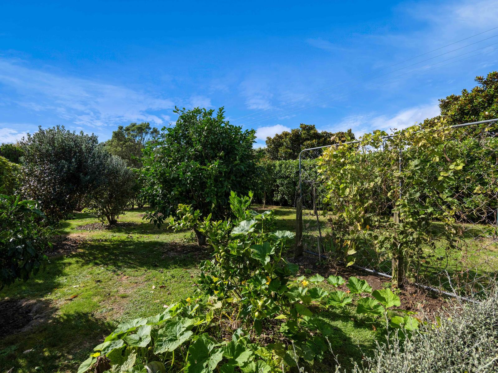 51 Wilson Road, Urenui