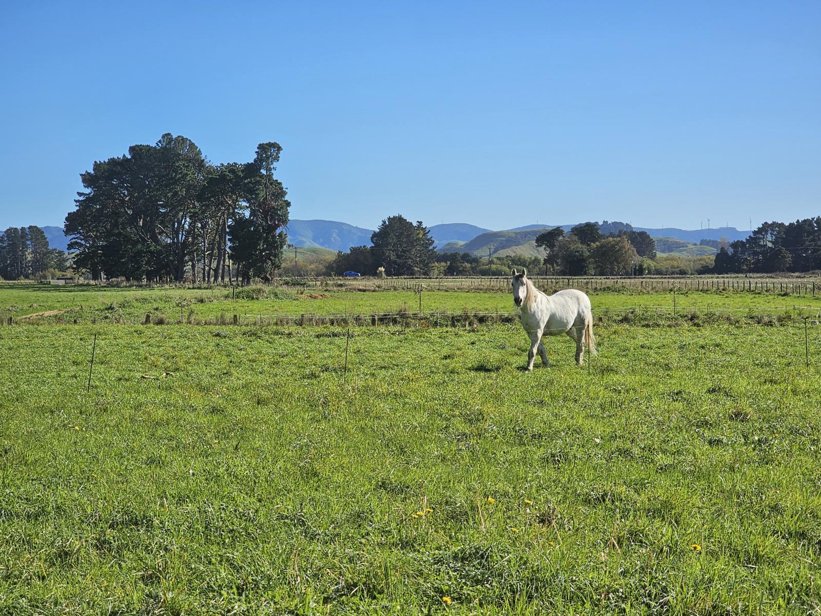 82921 State Highway 2, Pahiatua