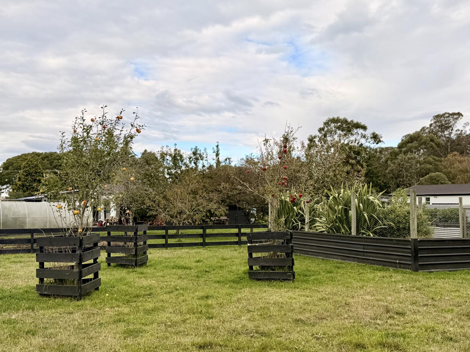 249 Pukeuri-Oamaru Road, Pukeuri