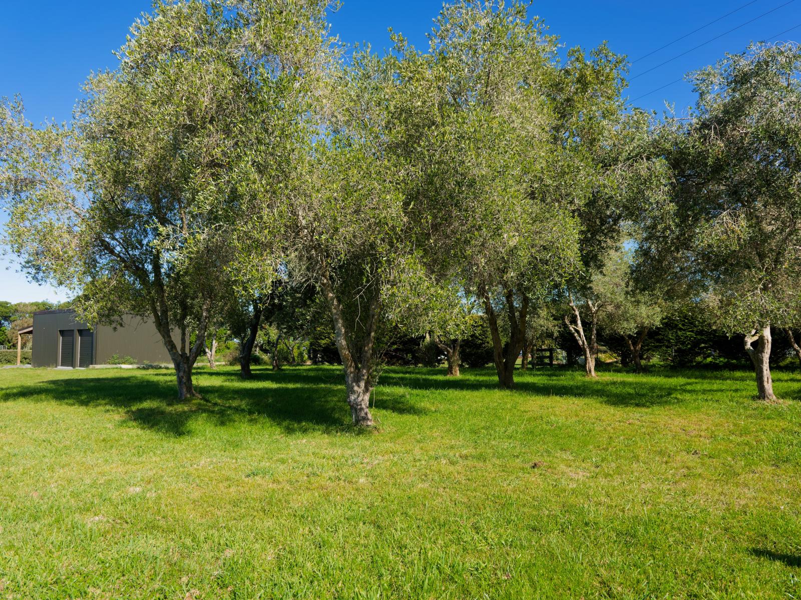 211 Lovers Lane, Kaikoura