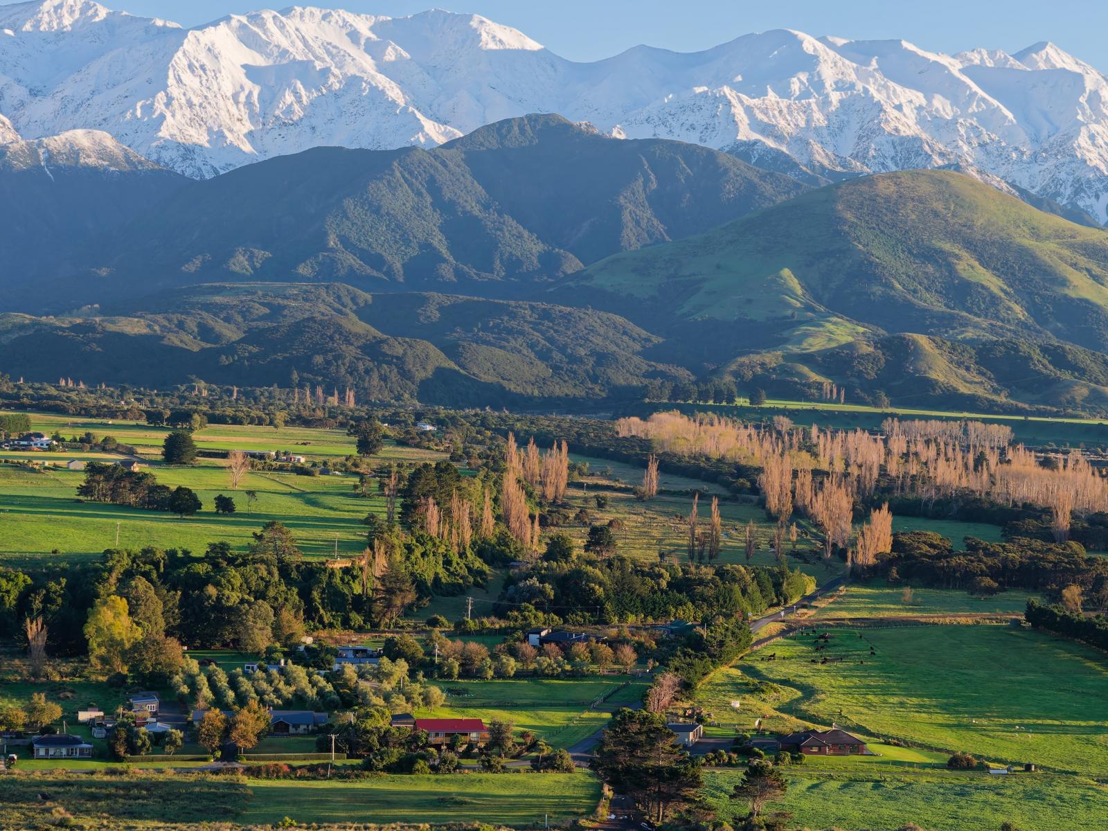 211 Lovers Lane, Kaikoura